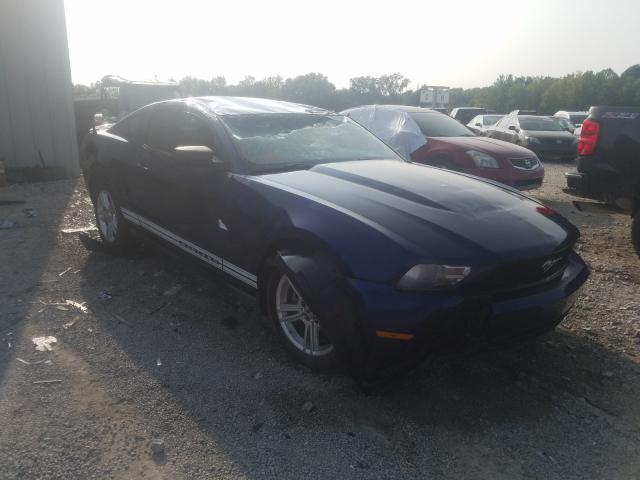 FORD MUSTANG 2010 1zvbp8an1a5145353