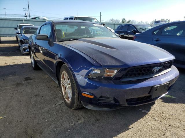 FORD MUSTANG 2010 1zvbp8an1a5146034