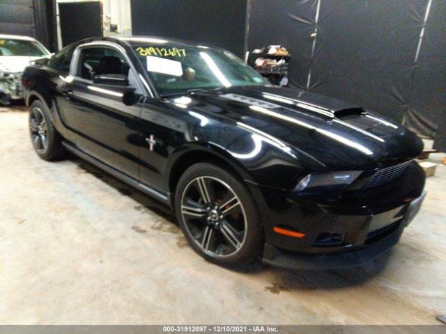 FORD MUSTANG 2010 1zvbp8an1a5146227