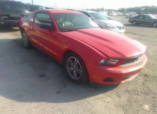 FORD MUSTANG 2010 1zvbp8an1a5146387