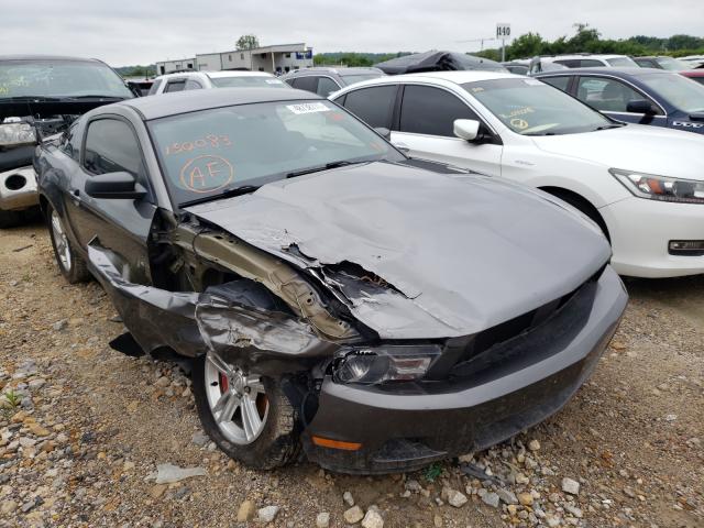 FORD MUSTANG 2010 1zvbp8an1a5150083