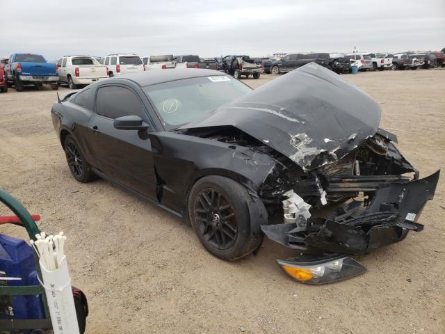 FORD MUSTANG 2010 1zvbp8an1a5156238