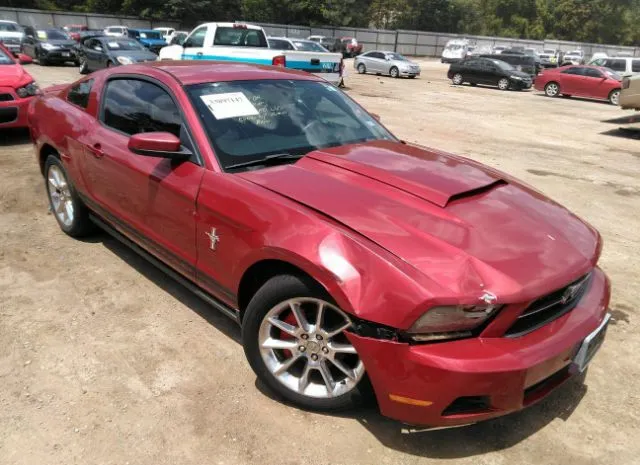 FORD MUSTANG 2010 1zvbp8an1a5156935