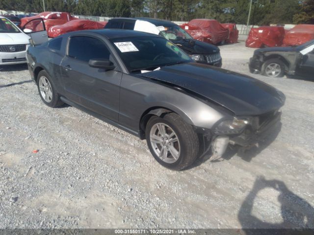 FORD MUSTANG 2010 1zvbp8an1a5159172