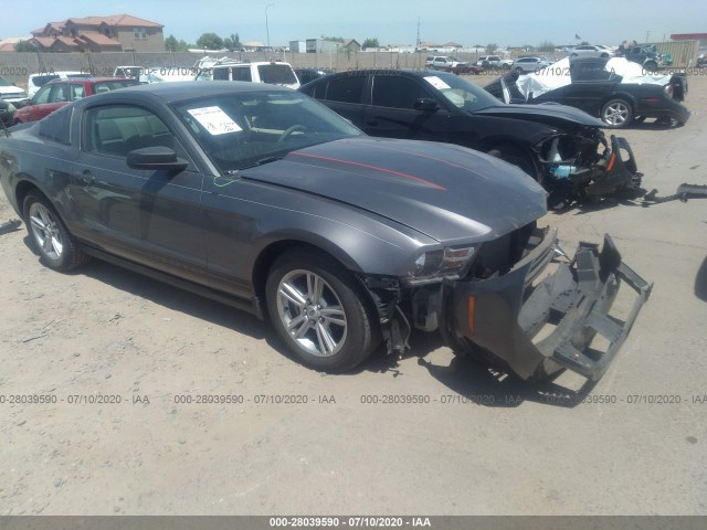 FORD MUSTANG 2010 1zvbp8an1a5160404