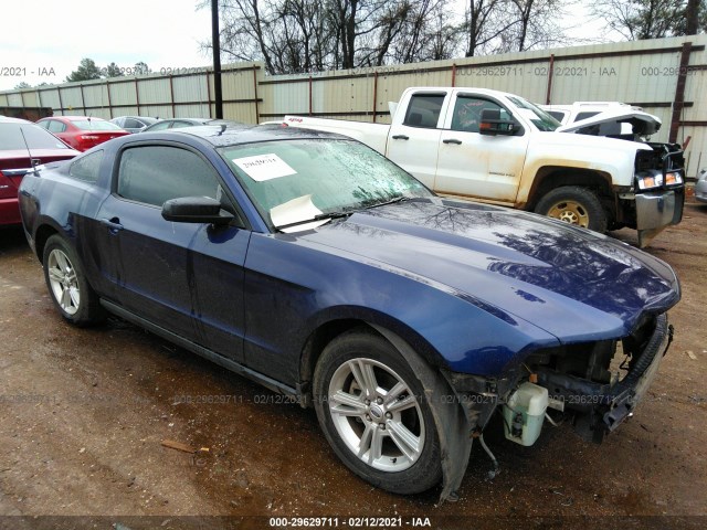 FORD MUSTANG 2010 1zvbp8an1a5161679