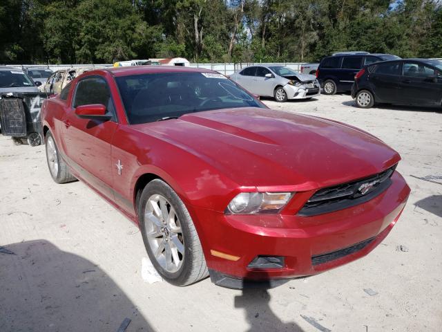 FORD MUSTANG 2010 1zvbp8an1a5163206