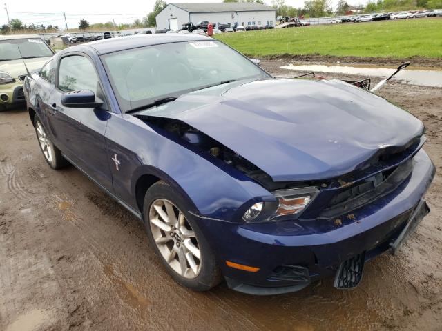 FORD MUSTANG 2010 1zvbp8an1a5165201