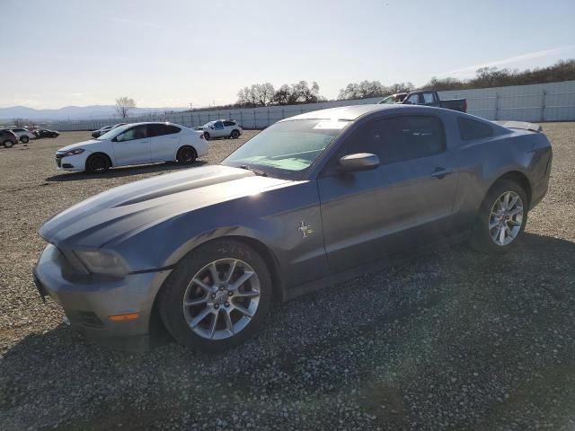 FORD MUSTANG 2010 1zvbp8an1a5165506