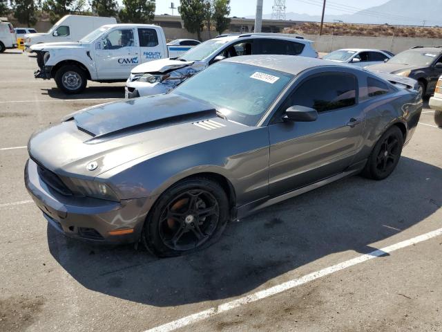 FORD MUSTANG 2010 1zvbp8an1a5165957