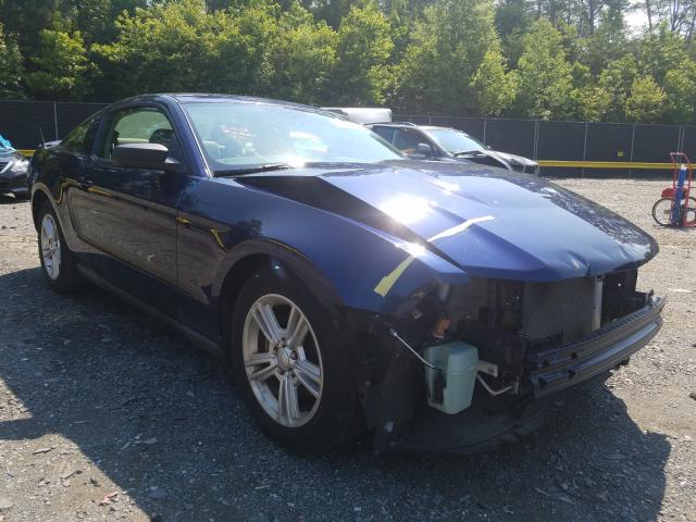 FORD MUSTANG 2010 1zvbp8an1a5172536