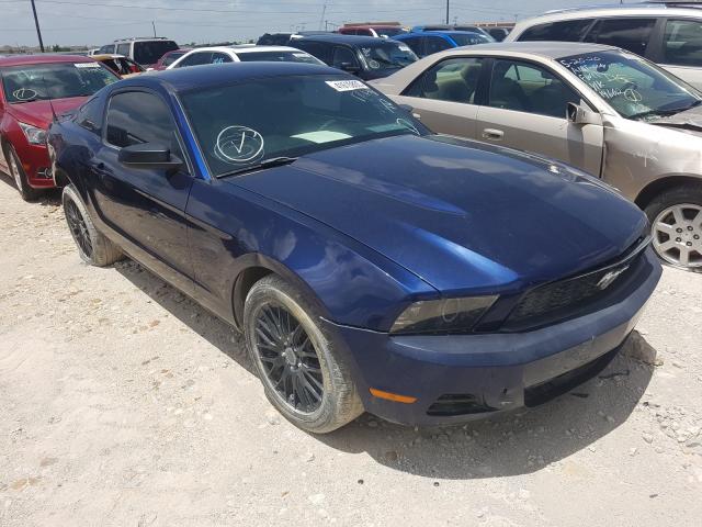 FORD MUSTANG 2010 1zvbp8an1a5176148