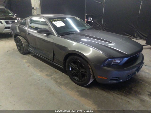 FORD MUSTANG 2010 1zvbp8an1a5176523