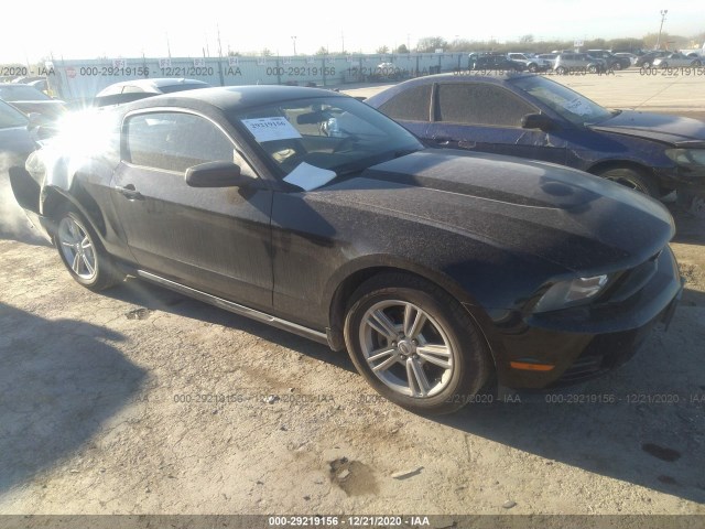 FORD MUSTANG 2010 1zvbp8an1a5176814