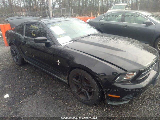 FORD MUSTANG 2010 1zvbp8an1a5180488