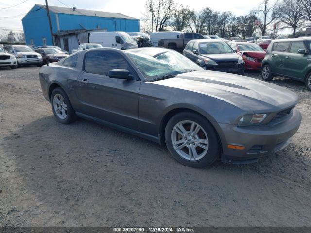 FORD MUSTANG 2010 1zvbp8an2a5101619