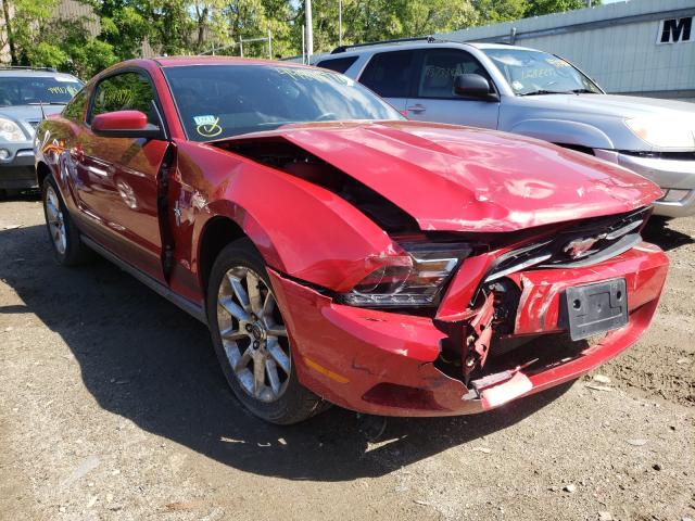 FORD MUSTANG 2010 1zvbp8an2a5101930