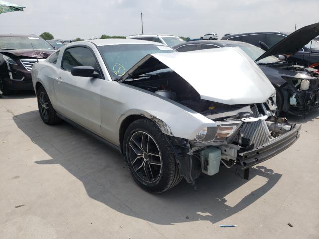 FORD MUSTANG 2010 1zvbp8an2a5104682