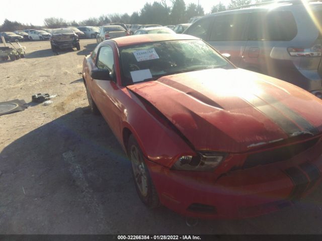 FORD MUSTANG 2010 1zvbp8an2a5106254