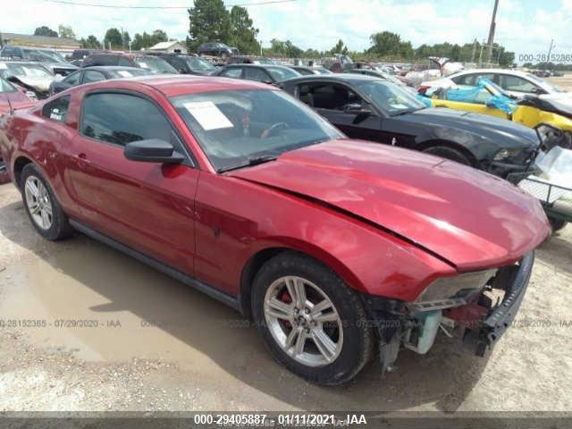 FORD MUSTANG 2010 1zvbp8an2a5106318