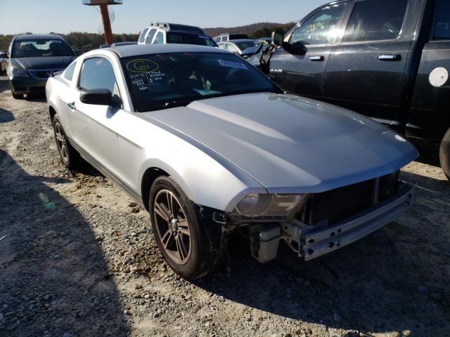 FORD MUSTANG 2010 1zvbp8an2a5107999