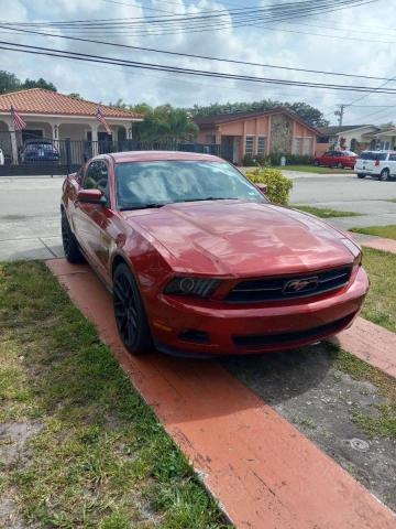 FORD MUSTANG 2010 1zvbp8an2a5113754