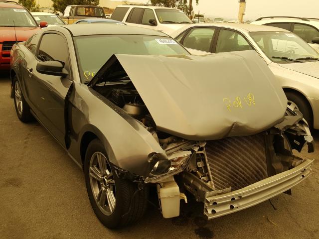 FORD MUSTANG 2010 1zvbp8an2a5114368