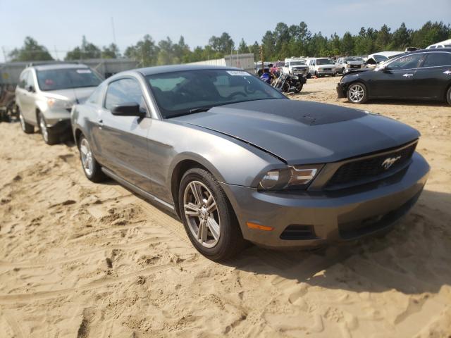 FORD MUSTANG 2010 1zvbp8an2a5114905