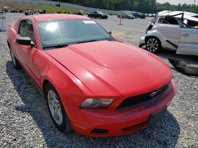 FORD MUSTANG 2010 1zvbp8an2a5128240