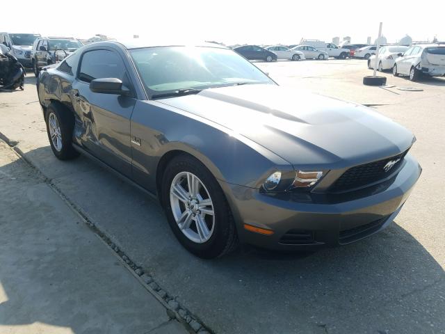 FORD MUSTANG 2010 1zvbp8an2a5128285