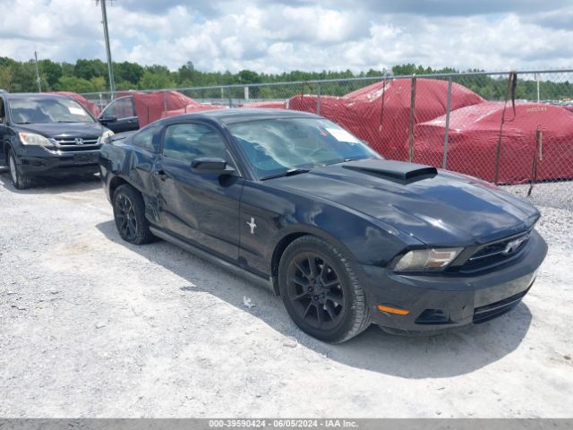 FORD MUSTANG 2010 1zvbp8an2a5129274