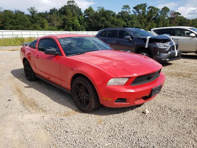 FORD MUSTANG 2010 1zvbp8an2a5130716