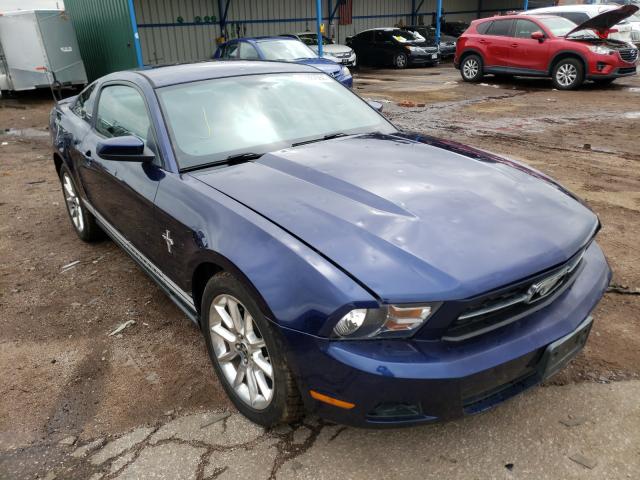 FORD MUSTANG 2010 1zvbp8an2a5133714