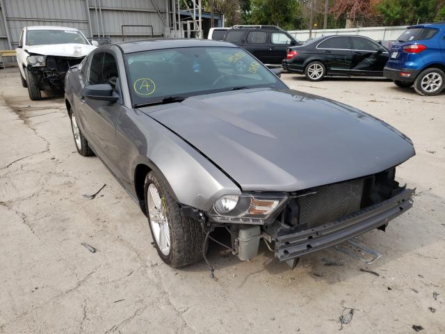 FORD MUSTANG 2010 1zvbp8an2a5136872