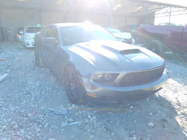 FORD MUSTANG 2010 1zvbp8an2a5138699