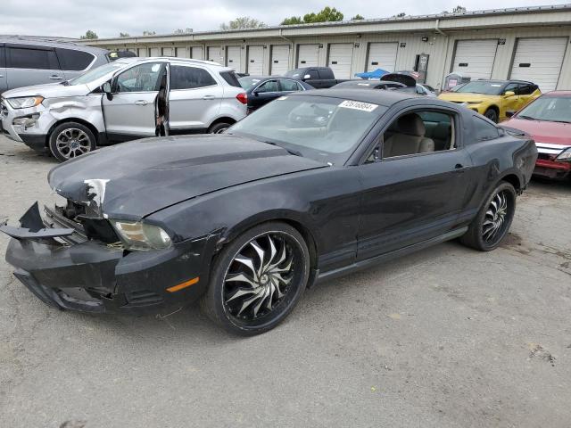 FORD MUSTANG 2010 1zvbp8an2a5143210