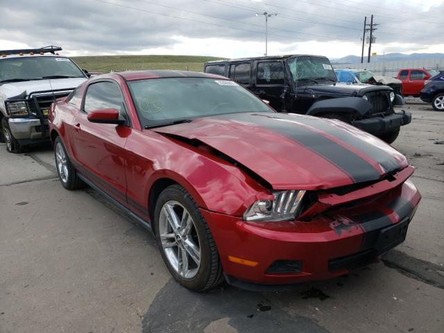 FORD MUSTANG 2010 1zvbp8an2a5143644