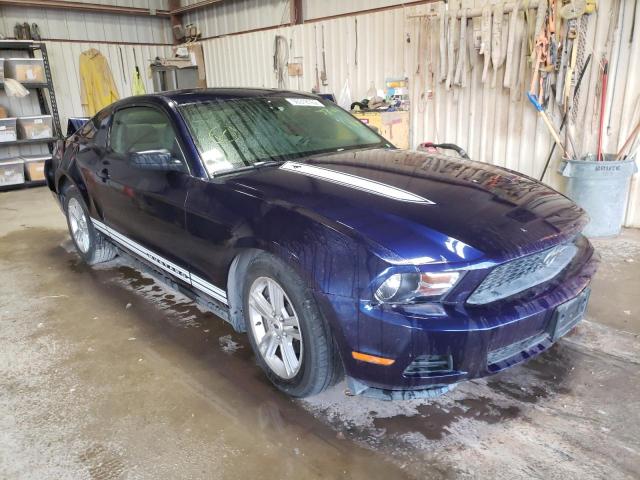 FORD MUSTANG 2010 1zvbp8an2a5144387