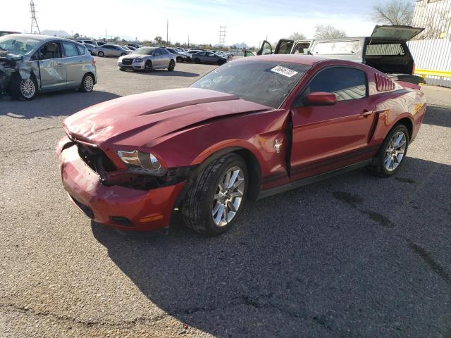 FORD MUSTANG 2010 1zvbp8an2a5145555