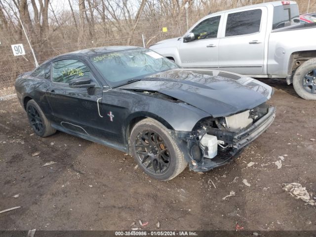 FORD MUSTANG 2010 1zvbp8an2a5146124