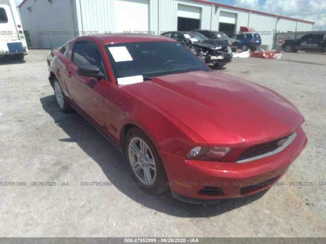 FORD MUSTANG 2010 1zvbp8an2a5146205