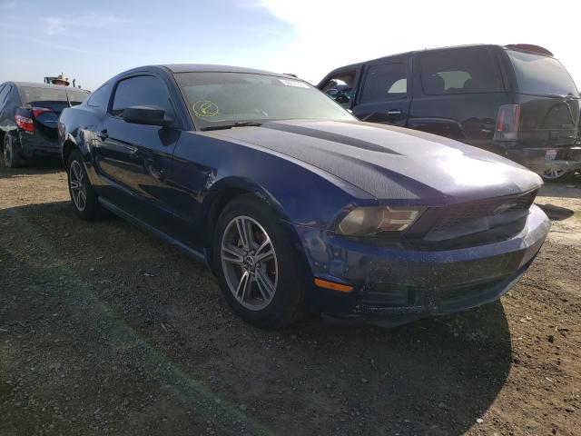 FORD MUSTANG 2010 1zvbp8an2a5146513