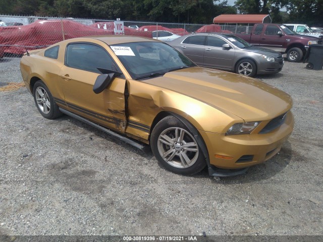 FORD MUSTANG 2010 1zvbp8an2a5147841