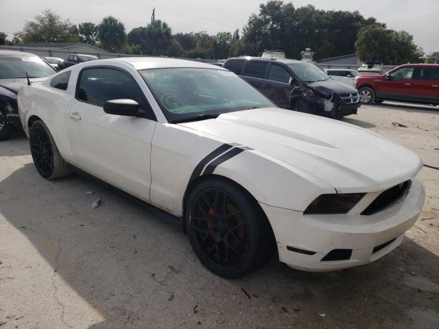 FORD MUSTANG 2010 1zvbp8an2a5147855