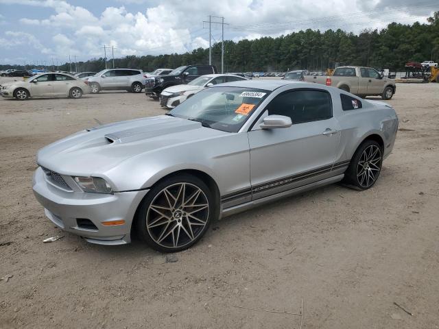 FORD MUSTANG 2010 1zvbp8an2a5147984