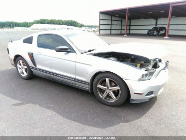 FORD MUSTANG 2010 1zvbp8an2a5148181