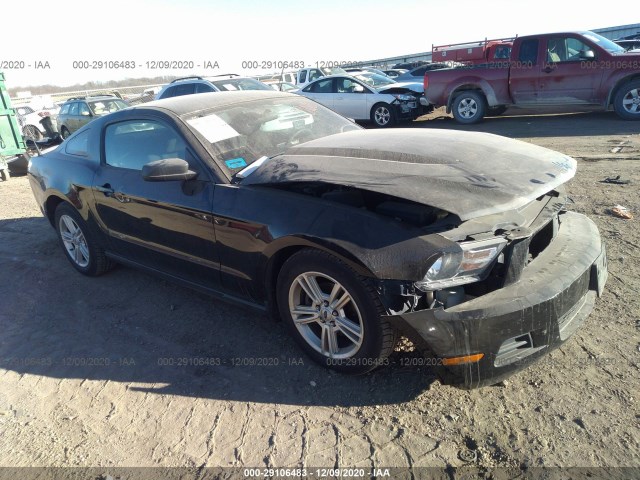 FORD MUSTANG 2010 1zvbp8an2a5148679