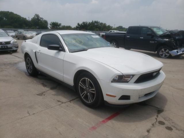 FORD MUSTANG 2010 1zvbp8an2a5149606