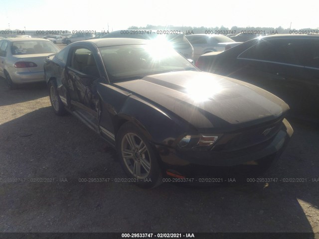 FORD MUSTANG 2010 1zvbp8an2a5151095