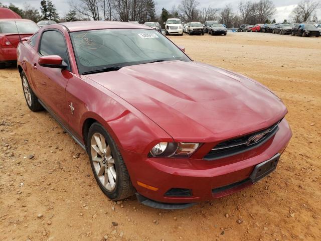 FORD MUSTANG 2010 1zvbp8an2a5153851